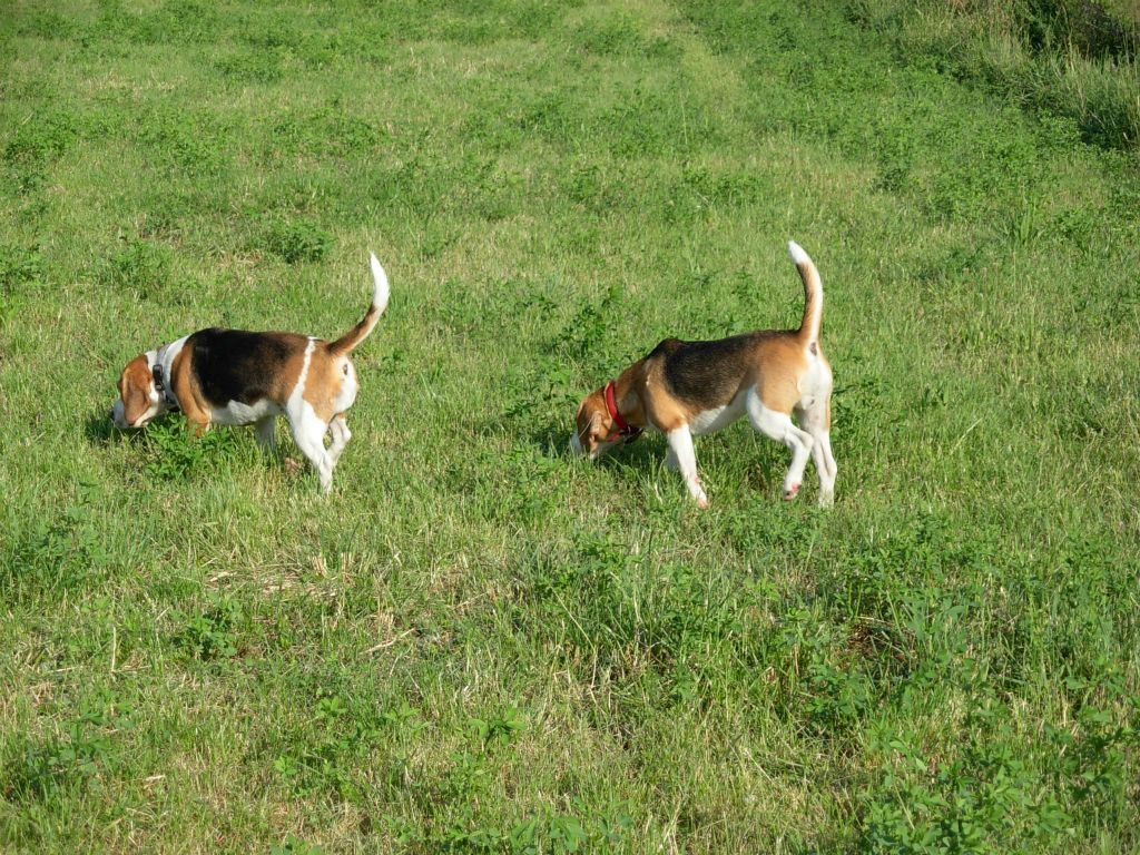 Teo e Nike
